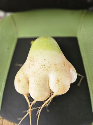 장상문님의 2024년 출석왕중왕 결과 공유해요 👑 · 참여글 작성글 사진