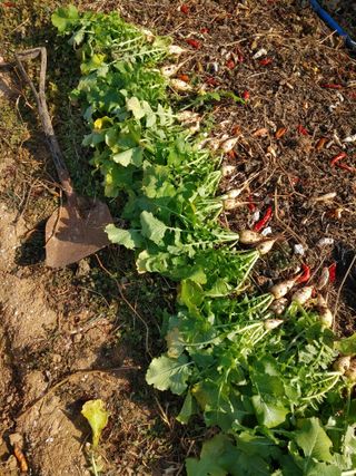 감12709님의 2024년 출석왕중왕 결과 공유해요 👑 · 참여글 작성글 사진