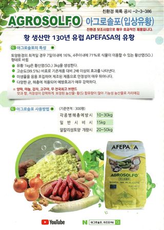 대산농사대장님의 감자 · 자유게시판 작성글 사진