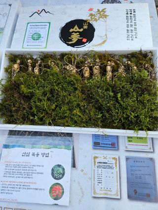 스마일님의 작성글 사진