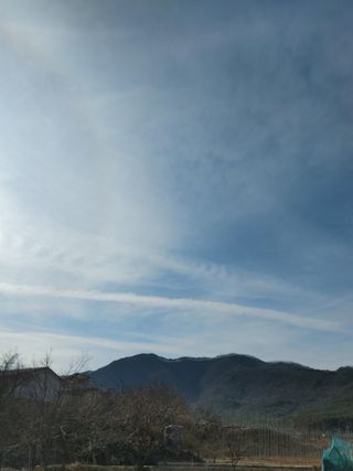 김수정님의 자유주제 · 자유게시판 작성글 사진