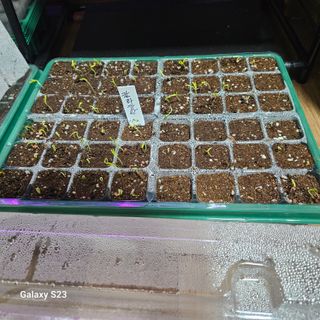 귤7305이석팔님의 2024년 출석왕중왕 결과 공유해요 👑 · 참여글 작성글 사진