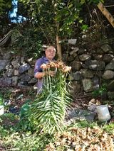 팜모닝 2024년 출석왕중왕 결과 공유해요 👑·참여글 게시글 이미지