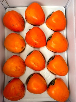 농부손녀님의 작성글 사진