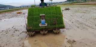 yee105님의 2024년 출석왕중왕 결과 공유해요 👑 · 참여글 작성글 사진