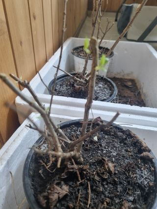 정미리님의 자유주제 · 자유게시판 작성글 사진