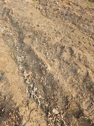 뿌리묘목농원님의 자유주제 · 자유게시판 작성글 사진