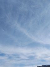 팜모닝 자유주제·자유게시판 게시글 이미지