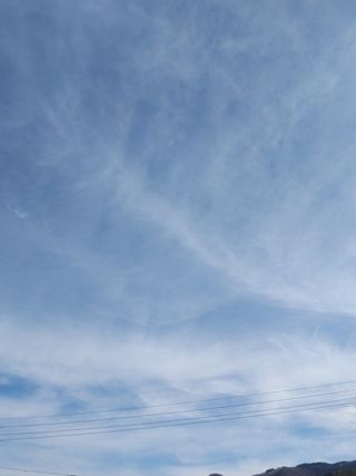 김수정님의 자유주제 · 자유게시판 작성글 사진