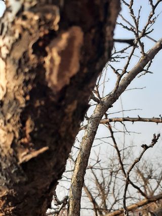 탕정농민님의 자유주제 · 자유게시판 작성글 사진