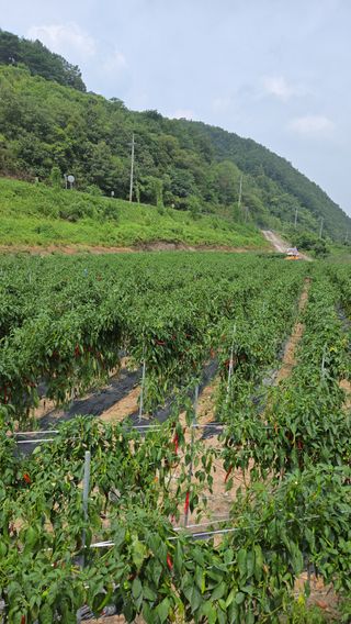 손영국님의 2024년 출석왕중왕 결과 공유해요 👑 · 참여글 작성글 사진