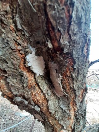 탕정농민님의 자유주제 · 자유게시판 작성글 사진