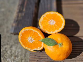 새달귤농장님의 나만의 건강관리 비결 · 참여글 작성글 사진