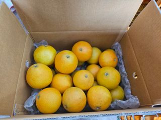 새달귤농장님의 나만의 건강관리 비결 · 참여글 작성글 사진