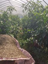 팜모닝 2024년 출석왕중왕 결과 공유해요 👑·참여글 게시글 이미지