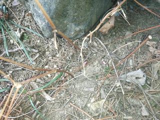 몽자아빠님의 2024년 출석왕중왕 결과 공유해요 👑 · 참여글 작성글 사진