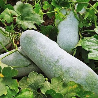 이미옥님의 자유주제 · 자유게시판 작성글 사진