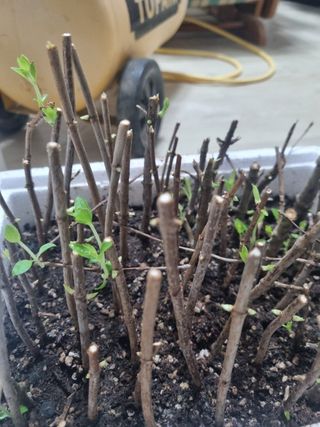 정미리님의 자유주제 · 자유게시판 작성글 사진