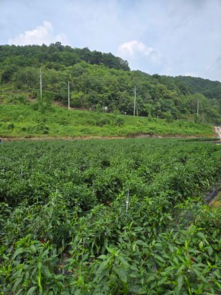 손영국님의 2024년 출석왕중왕 결과 공유해요 👑 · 참여글 작성글 사진