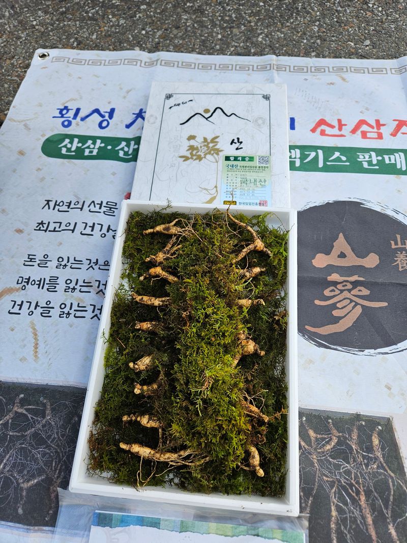 스마일님의 장터 판매 상품 [장뇌산삼] 첨부 사진