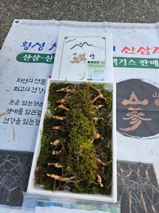 스마일님의 작성글 사진