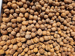 이명기님의 2024년 출석왕중왕 결과 공유해요 👑 · 참여글 작성글 사진