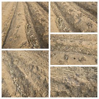 뿌리묘목농원님의 자유주제 · 자유게시판 작성글 사진