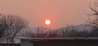 금원산농장님의 2024년 출석왕중왕 결과 공유해요 👑 · 참여글 작성글 사진