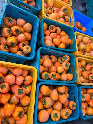 농부손녀님의 작성글 사진