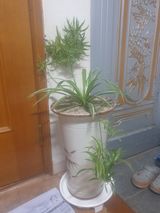 팜모닝 2024년 출석왕중왕 결과 공유해요 👑·참여글 게시글 이미지