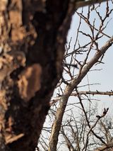 팜모닝 자유주제·자유게시판 게시글 이미지