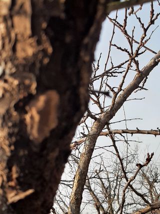 탕정농민님의 자유주제 · 자유게시판 작성글 사진