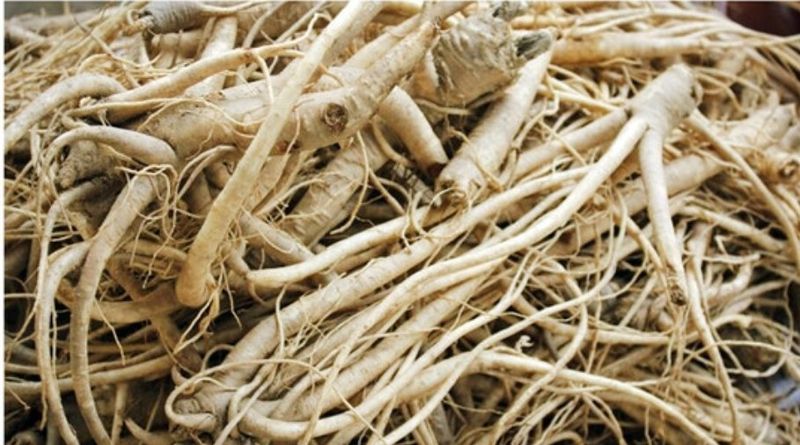 대산농사대장님의 장터 판매 상품 [산천도라지 30g대포장] 첨부 사진