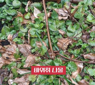 무료지식나눔 팜닥터님의 자유주제 · 사진전 작성글 사진