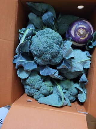 규헌님의 작성글 사진