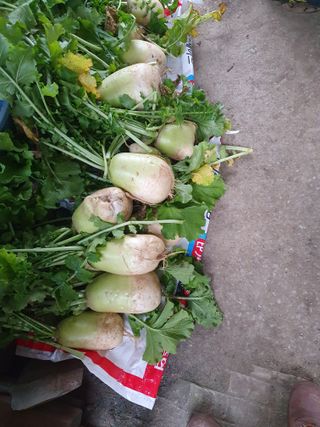 하예산방15926님의 2024년 출석왕중왕 결과 공유해요 👑 · 참여글 작성글 사진