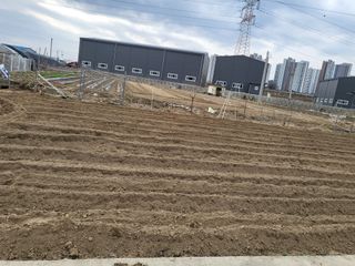 박순례님의 농지취득규제, 완화 찬성 vs 완화 반대 · 참여글 작성글 사진