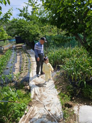 한밭골님의 2024년 출석왕중왕 결과 공유해요 👑 · 참여글 작성글 사진