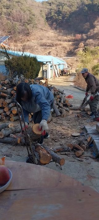 이일철 (조이산골)님의 자유주제 · 자유게시판 작성글 사진