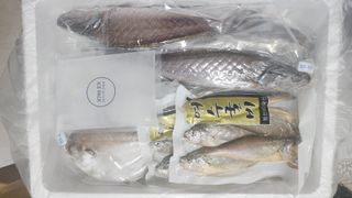 정미리님의 자유주제 · 자유게시판 작성글 사진