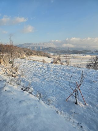 산들농원님의 2024년 출석왕중왕 결과 공유해요 👑 · 참여글 작성글 사진