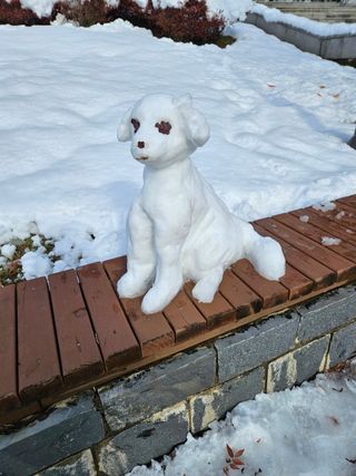 이훈정(시몬)님의 2024년 출석왕중왕 결과 공유해요 👑 · 참여글 작성글 사진