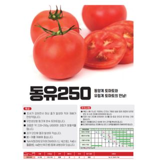 아시아종묘님의 자유주제 · 자유게시판 작성글 사진