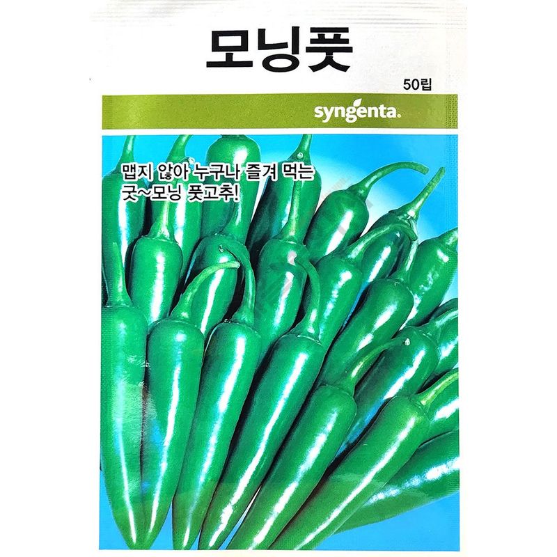 장터 상품 [모닝풋고추 50립 남은수량특가] 썸네일
