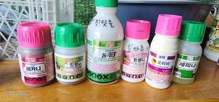 한밭골님의 2024년 출석왕중왕 결과 공유해요 👑 · 참여글 작성글 사진