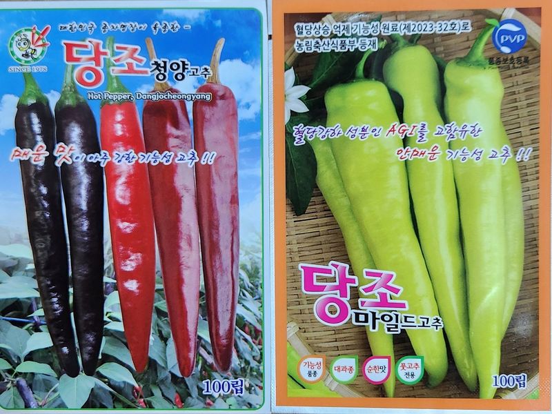장터 상품 [당조고추 당조청양고추씨앗 100립] 썸네일