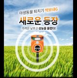 팜모닝 · 게시글 이미지