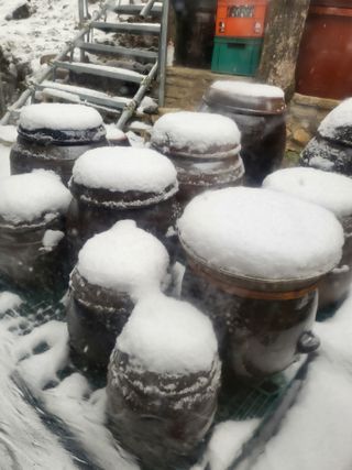 블루베리17774님의 2024년 출석왕중왕 결과 공유해요 👑 · 참여글 작성글 사진