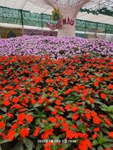 팜모닝 2024년 출석왕중왕 결과 공유해요 👑·참여글 게시글 이미지