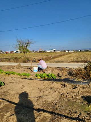 박순례님의 농지취득규제, 완화 찬성 vs 완화 반대 · 참여글 작성글 사진